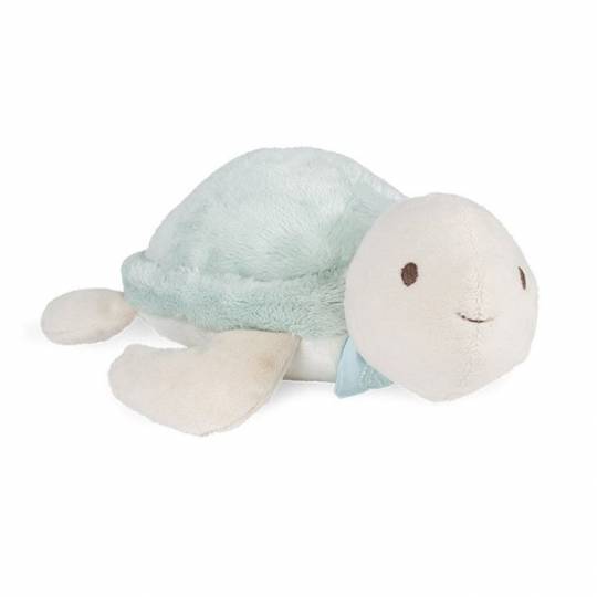 Les Amis - Pistache la tortue - Medium kaloo - 1