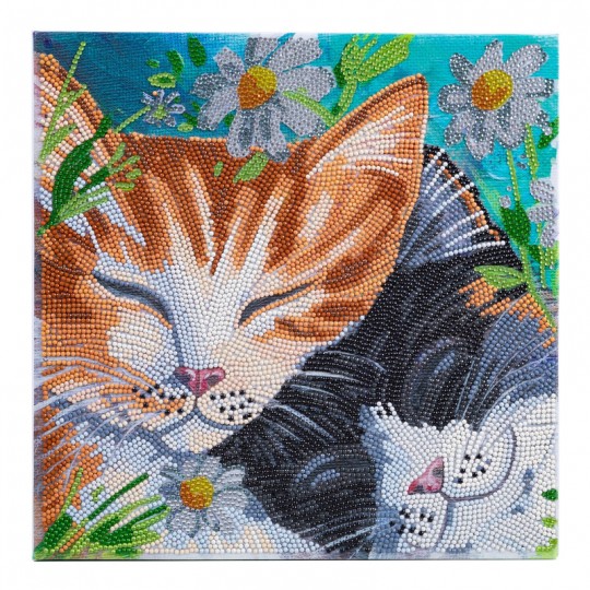 Crystal Art - Kit Tableau Broderie diamant 30 x 30 cm Chats Dormeurs Crystal Art - 1