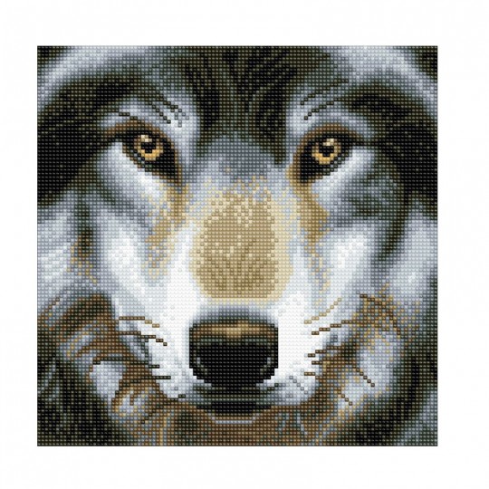 CRYSTAL ART Kit tableau broderie diamant 30x30cm-Loup Crystal Art - 1