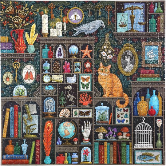 Puzzle 1000 pcs Alchemist's Cabinet - Eeboo Eeboo - 3