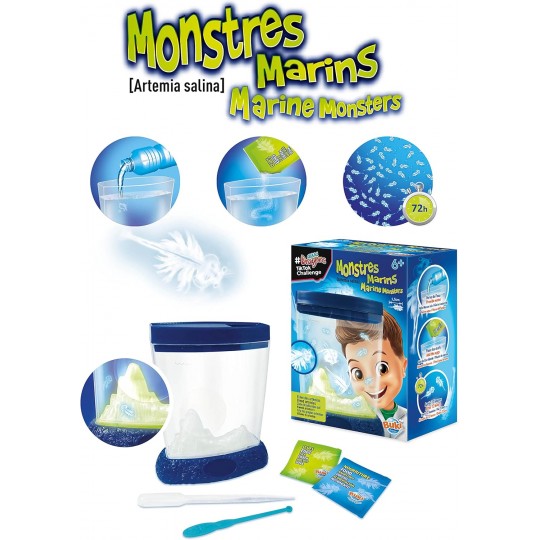 Aqua Dragons : Monstres Marins - Buki Buki France - 5