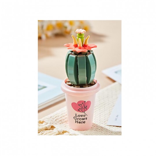 La Fa'Brique à Fleurs : Cactus 55 pcs - JAKI Jaki - 1