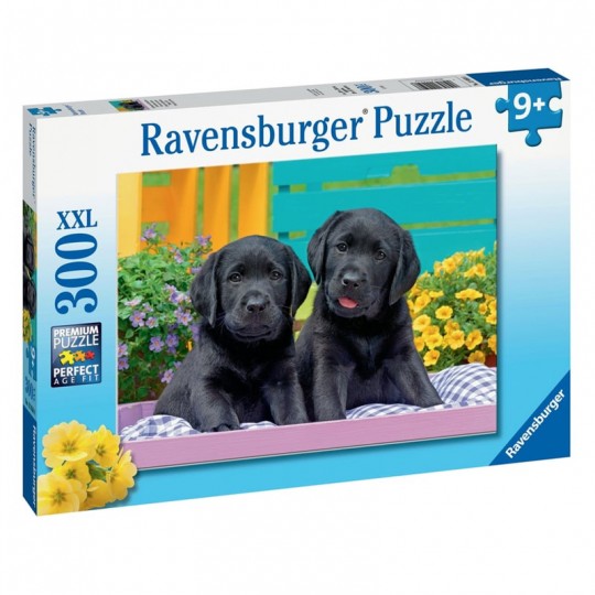 Puzzle 300 pièces XXL - Labradors noirs Ravensburger - 1