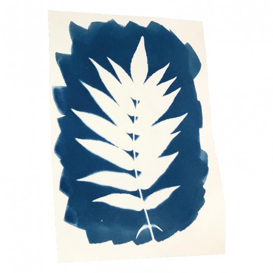 Kit Cyanotype Enjoy Art Enjoy Art - 6