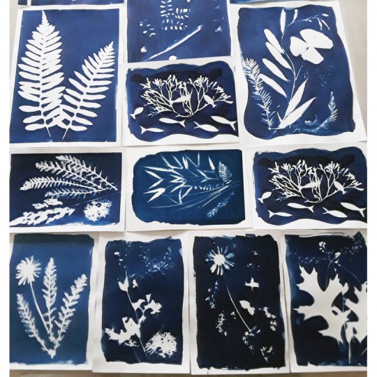 Kit Cyanotype Enjoy Art Enjoy Art - 8