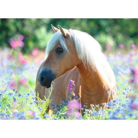 Puzzle 300 pièces XXL - Cheval dans la prairie Ravensburger - 2