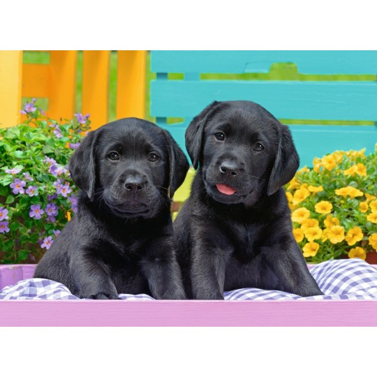 Puzzle 300 pièces XXL - Labradors noirs Ravensburger - 2