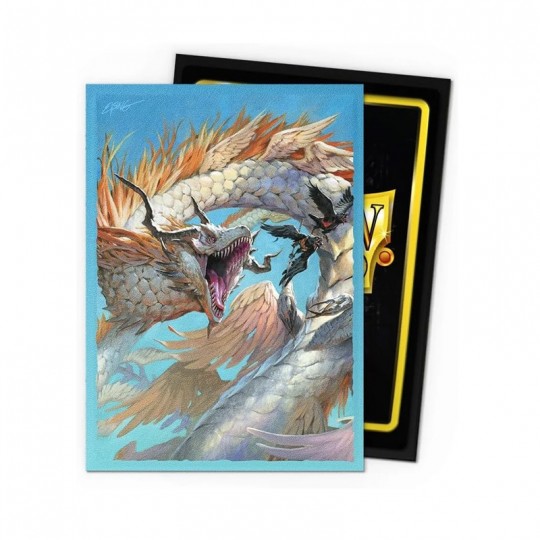 100 sleeves Dragon Shield Matte The Ejsingandr Arcane Tinmen - 2