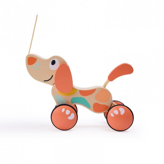 Chien Puppy Édition Limitée - Hape Hape - 1