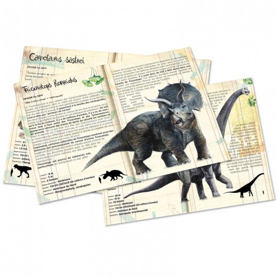 Coffret de 3 puzzles dinosaures avec posters : Muséum national d'Histoire naturelle - Vilac Vilac - 1