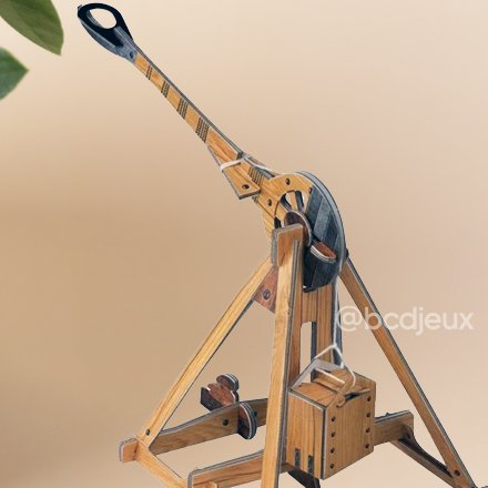 Catapulte DIY