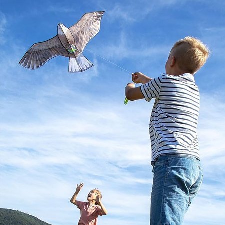 Cerf-volant Aigle Terra Kids - HABA