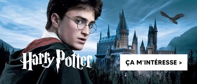 Harry Potter : La course au vif d'or - La Grande Récré